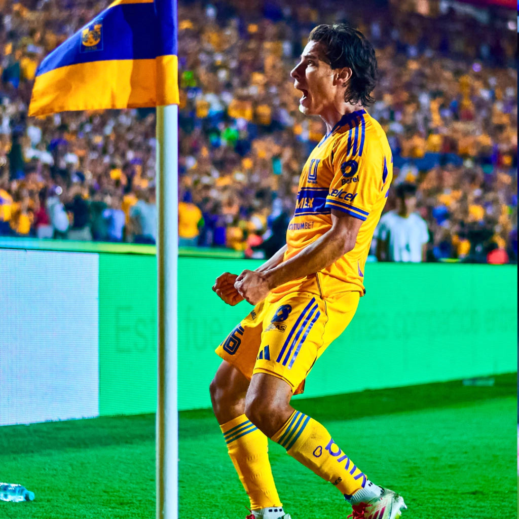 Kit de juego Tigres