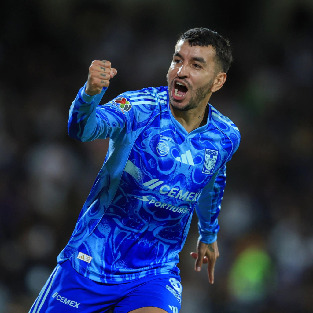 Kit de juego Tigres Visita
